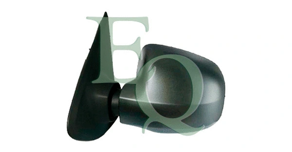 Exterior Mirror (RS01406)