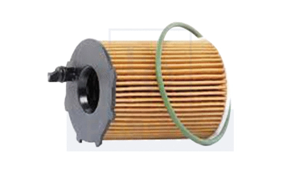 Oil Filter (FO6192)
