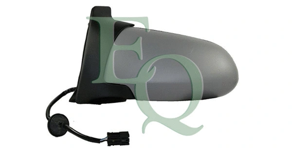 Exterior Mirror (RS02789)