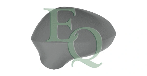Cover, exterior mirror (RD02740)