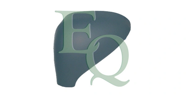 Cover, exterior mirror (RS02203)