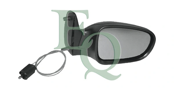 Exterior Mirror (RS00352)