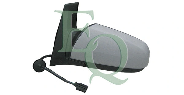 Exterior Mirror (RS02196)