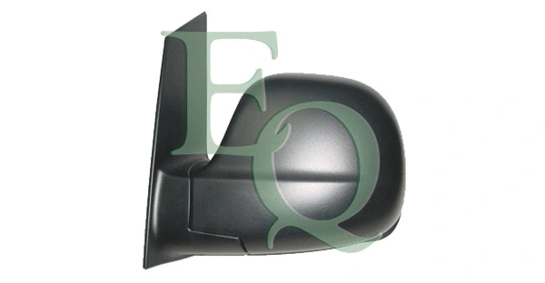 Exterior Mirror (RS02191)