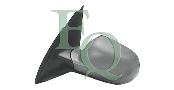 Exterior Mirror (RS01063)