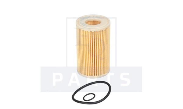 Oil Filter (FO6266)