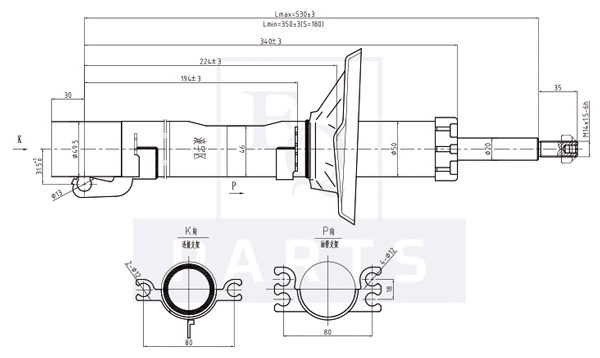 Shock Absorber (AM10138)
