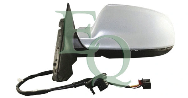 Exterior Mirror (RS00434)