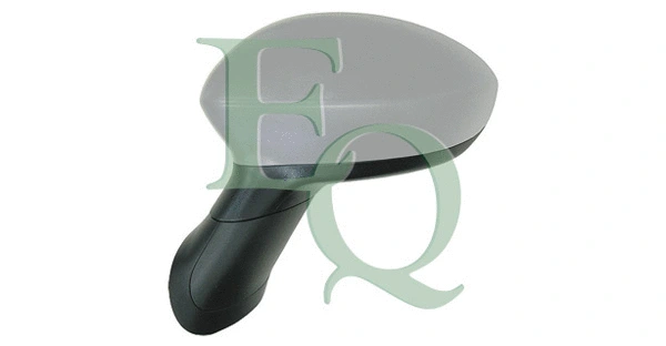 Exterior Mirror (RS02137)