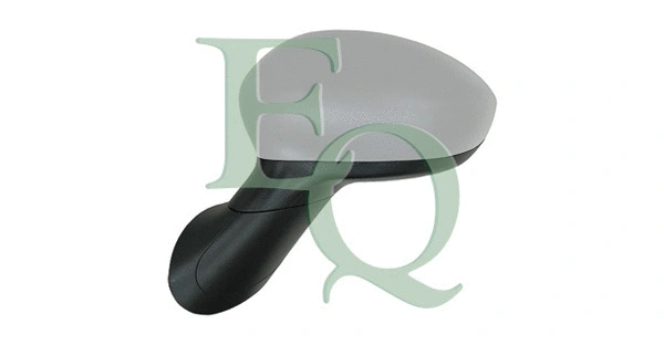 Exterior Mirror (RS02422)