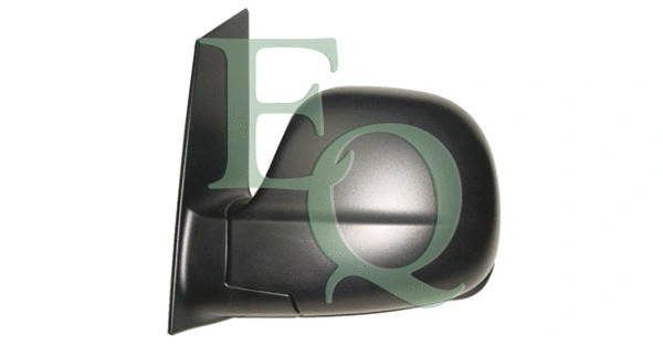 Exterior Mirror (RS02361)
