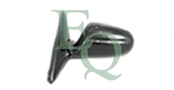 Exterior Mirror (RS00381)