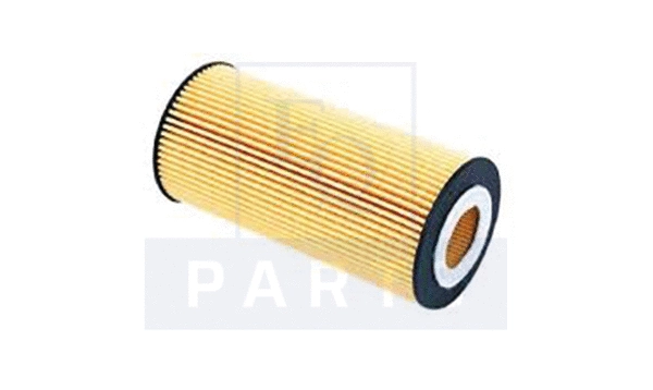 Oil Filter (FO6031)