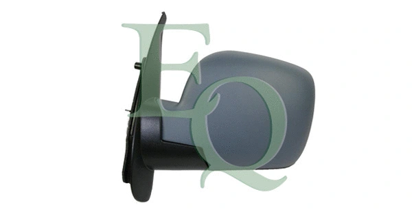 Exterior Mirror (RS02599)