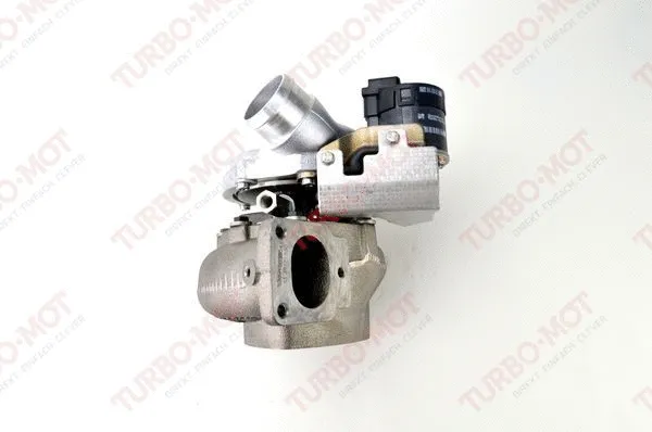 Charger, charging (supercharged/turbocharged) (679082OR)