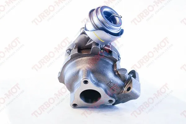 Charger, charging (supercharged/turbocharged) (653603R)