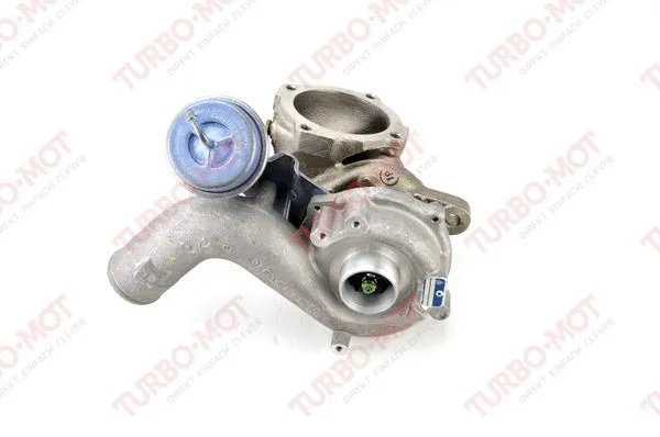 Charger, charging (supercharged/turbocharged) (600542)