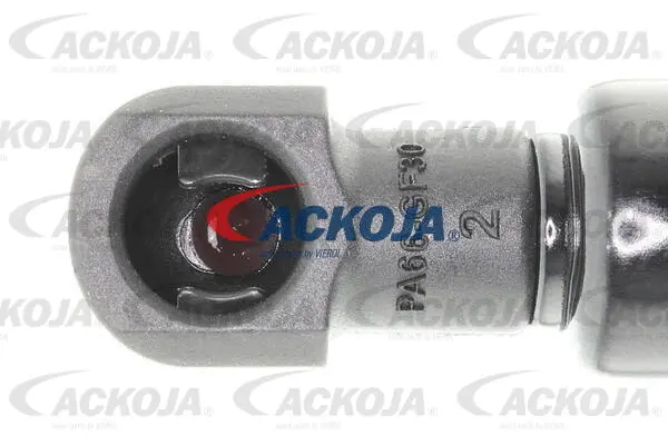 Gas Spring, boot/cargo area