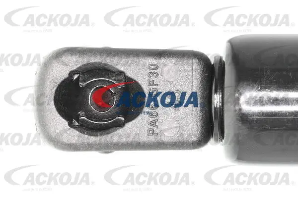 Gas Spring, boot/cargo area