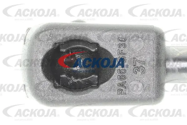 Gas Spring, boot/cargo area