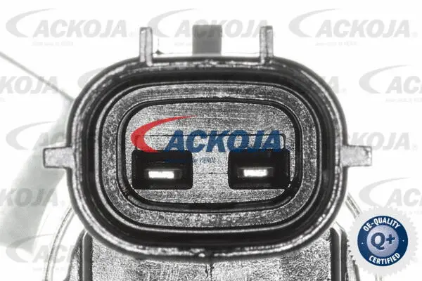 Control Valve, camshaft adjustment