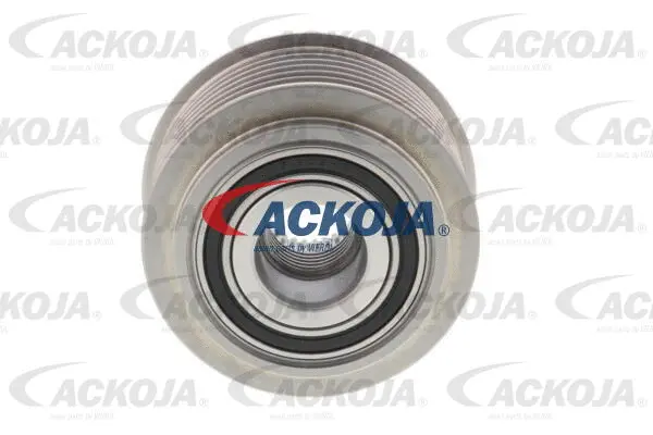 Alternator Freewheel Clutch