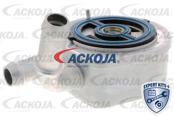 Oil Cooler, engine oil