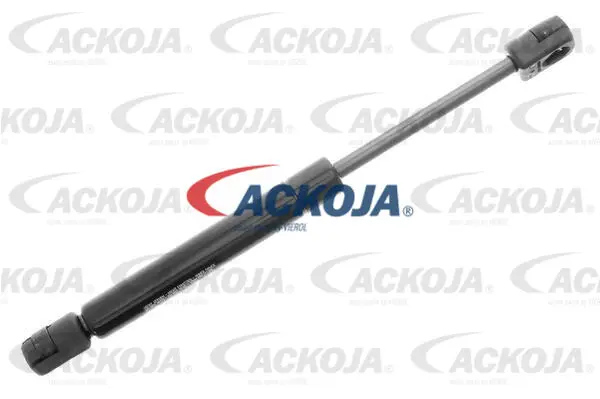 Gas Spring, boot/cargo area