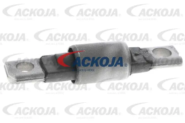 Mounting, control/trailing arm