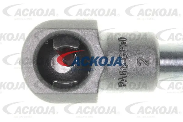 Gas Spring, boot/cargo area