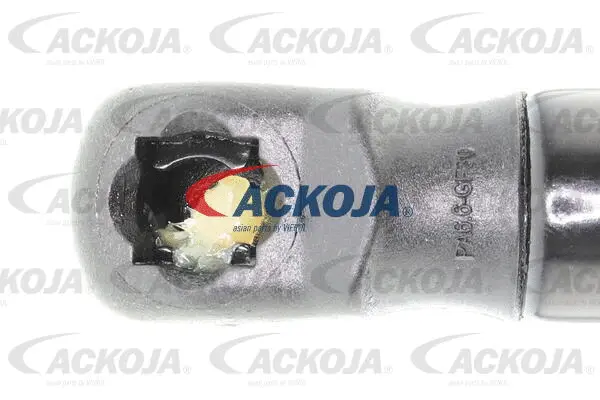Gas Spring, boot/cargo area