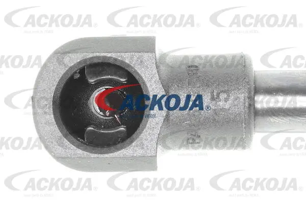 Gas Spring, boot/cargo area