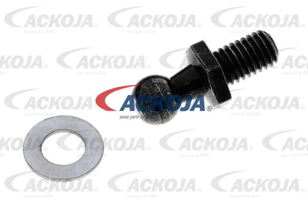 Gas Spring, boot/cargo area