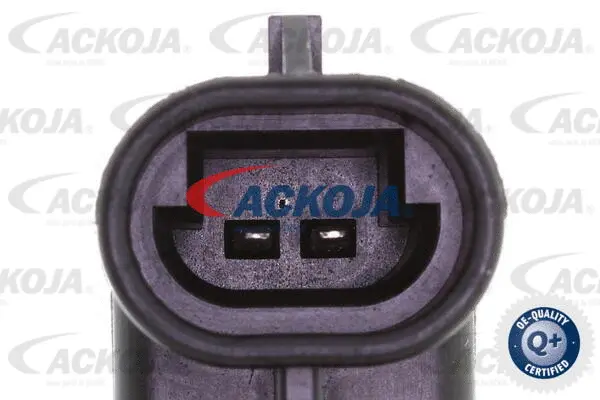 Control Valve, camshaft adjustment