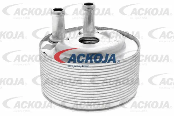 Oil Cooler, engine oil