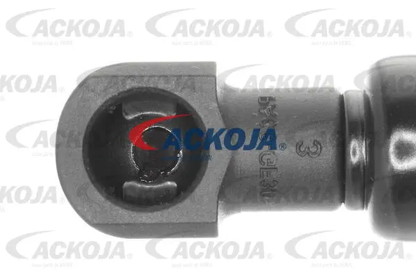 Gas Spring, boot/cargo area