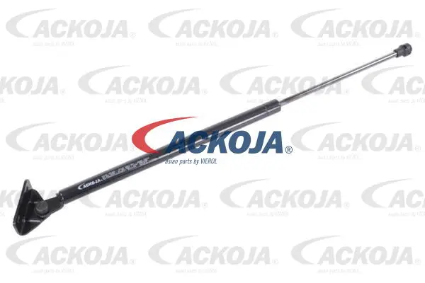 Gas Spring, boot/cargo area