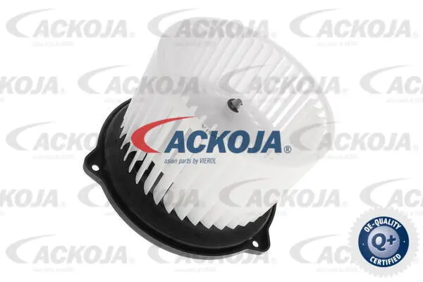 Interior Blower