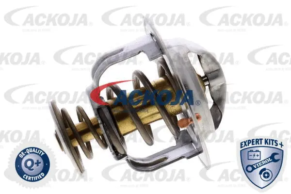 Thermostat, coolant