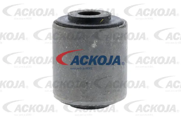 Mounting, control/trailing arm