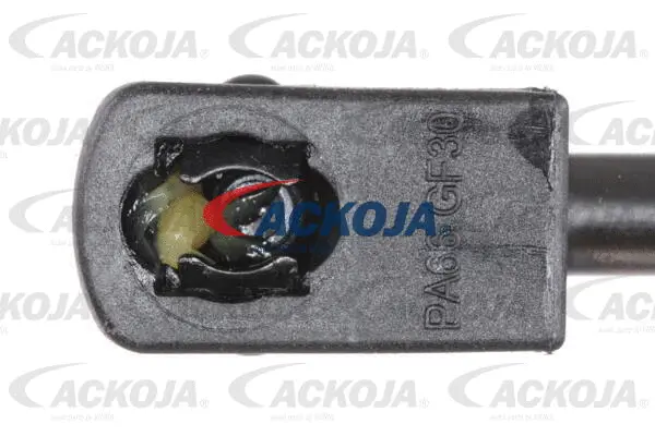 Gas Spring, boot/cargo area