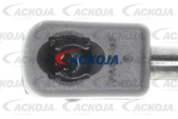 Gas Spring, boot/cargo area