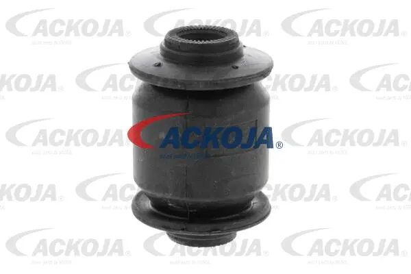 Mounting, control/trailing arm