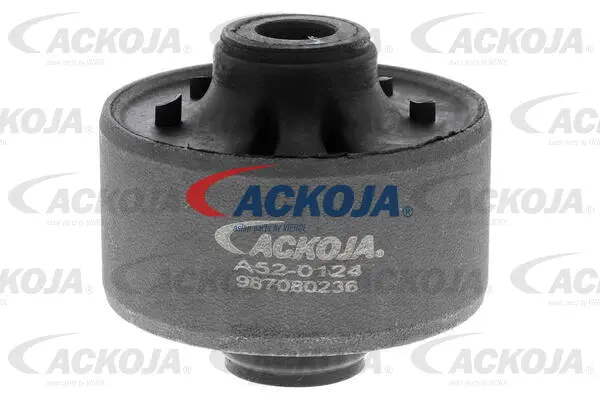 Mounting, control/trailing arm