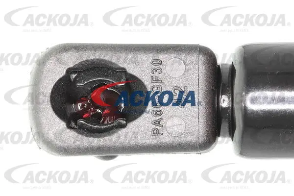 Gas Spring, boot/cargo area