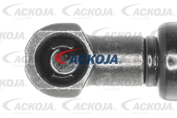 Gas Spring, boot/cargo area
