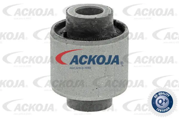 Mounting, control/trailing arm