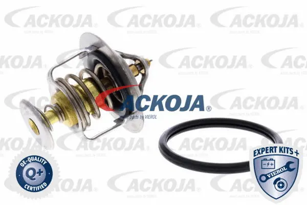 Thermostat, coolant