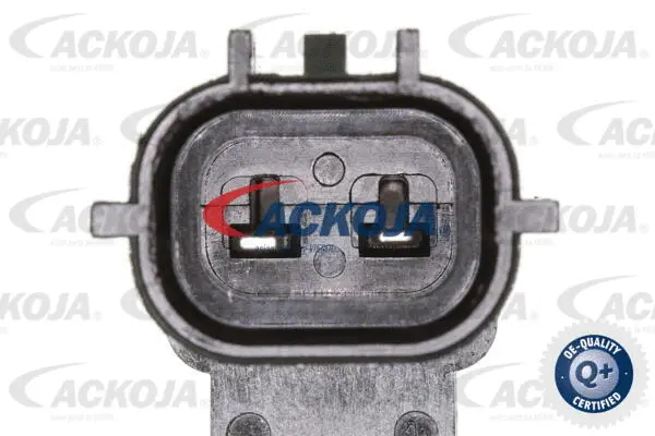 Control Valve, camshaft adjustment