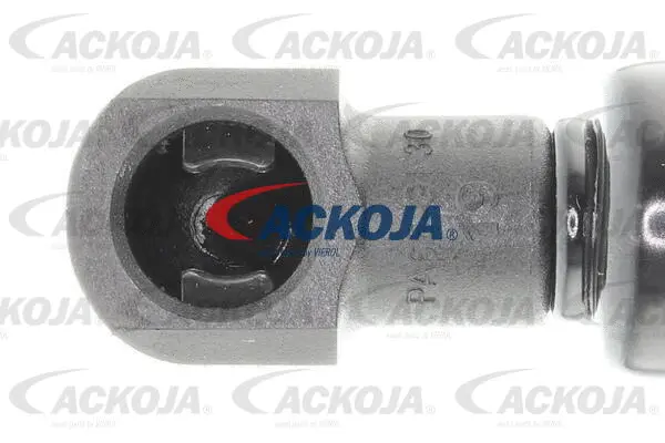 Gas Spring, boot/cargo area